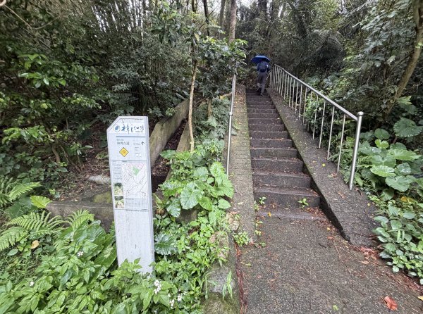 [樟之細路_第一大段RSA02] 2026_0329 林埤古道3026883