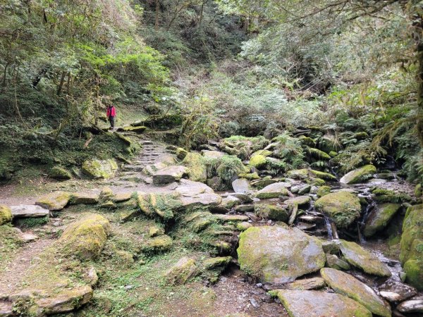 福巴越嶺古道 達觀山 檜山2016573