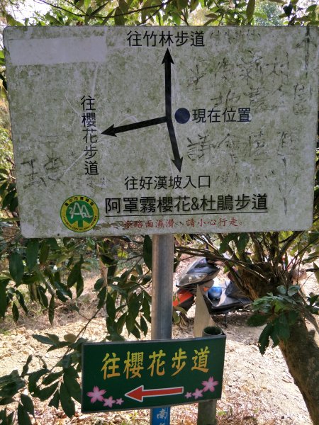 小百岳：阿罩霧山1254723