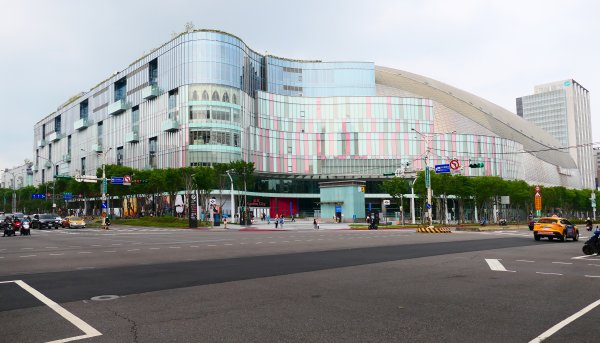 加羅林魚木,松菸文創園區3038162