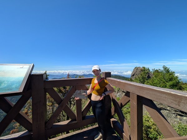 二訪阿里山國家森林遊樂區之大塔山對高岳之旅2991647