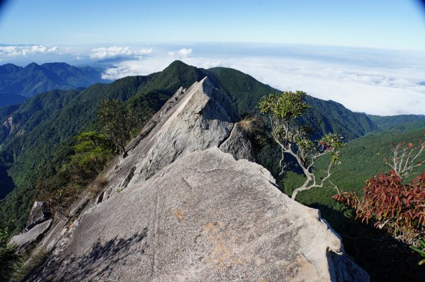 台中 和平 鳶嘴山2926875