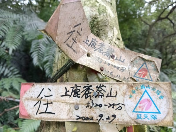 汐止區茄苳越嶺古道+上鹿窟崙山+九層坪山+四分尾山+大尖山8字走2981591