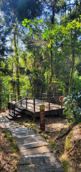 2025-01-30迷糊步道2704442