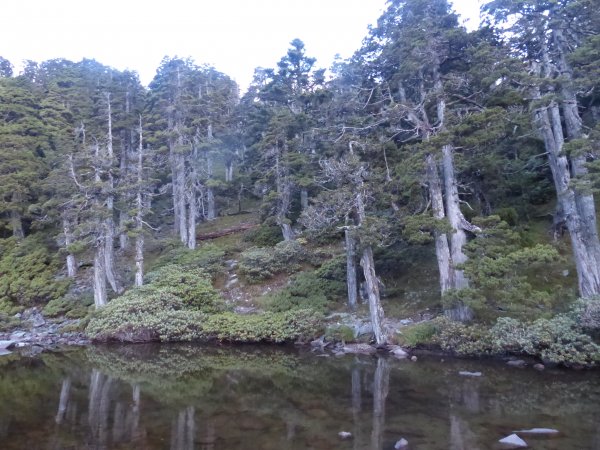 雪山主峰下翠池2019/0723640375