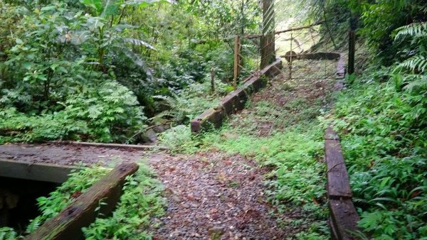 淡蘭古道南路（湖底嶺、四堵古道、溪畔古道）1433986