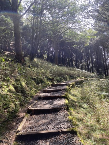 大塔山3062652