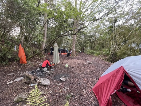 迴頭彎上鍛鍊山海鼠山O型縱走(下)1312478