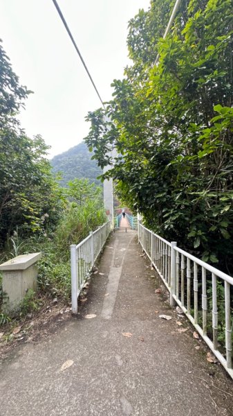 谷關白毛山2685538