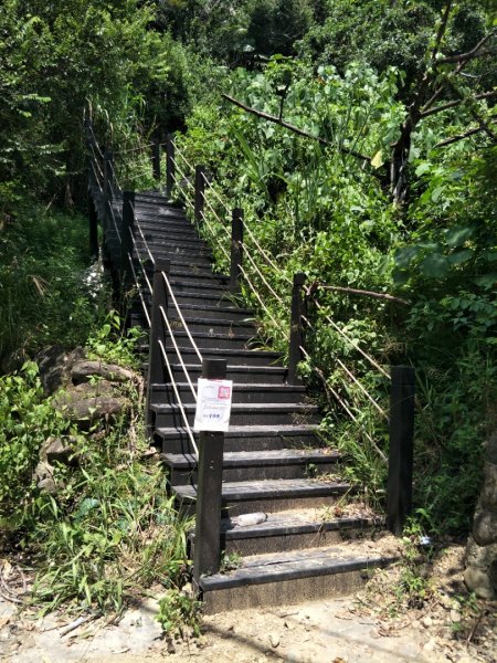 楓仔林步道_草嶺觀景步道(土地公崁山)1442885