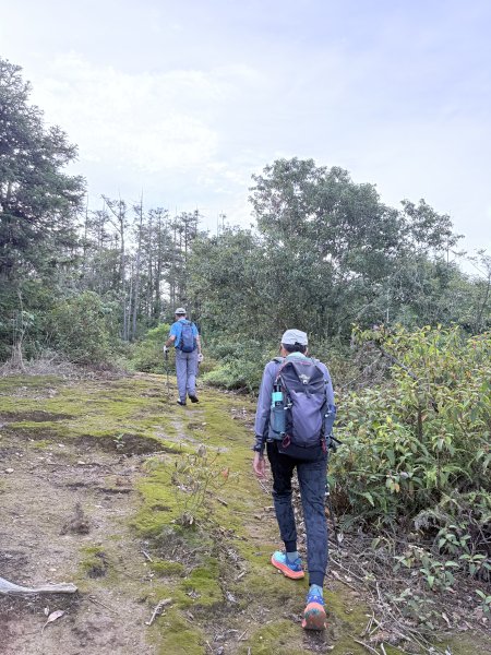 埔里登蜈蚣崙山、板仔寮山 2025.6.182815486