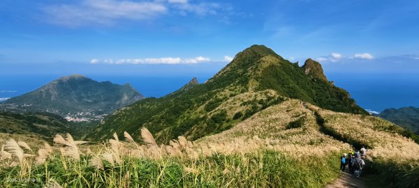 #半屏山 #芒花 11/262946021