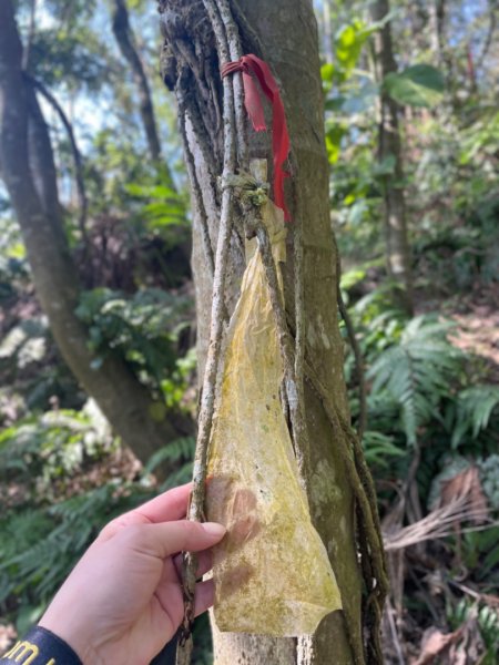 銀河洞越嶺貓空-新高麗坑山-銀獅縱走-猴山岳群峰+三條魚縱走2701013