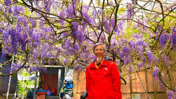 追花是簡單的快樂，賞花是恬淡的幸褔 4/32751452