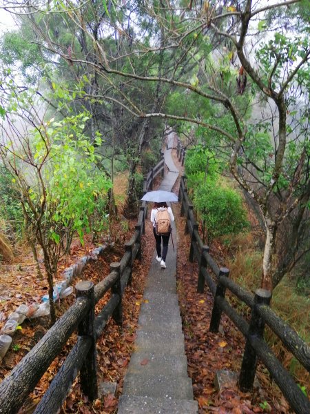 高雄大社~健身踏青好選擇~小百岳觀音山907982