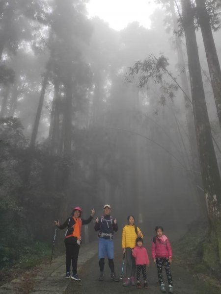 小百岳(60)-奮起湖大凍山-20200412~【2020全家總動員~28分之11】1716496