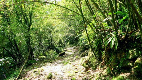 畝畝山。又上說2768139