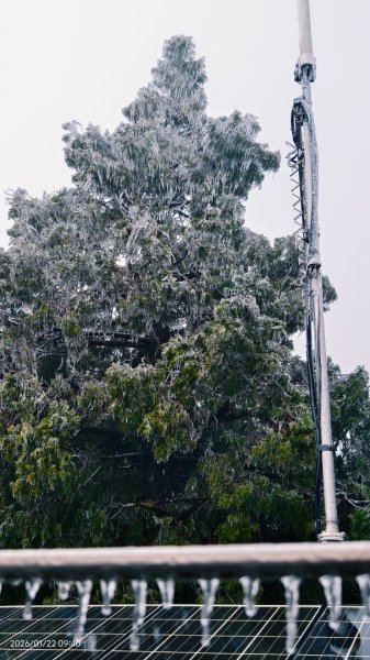 #太平山 #望洋山 #霧淞 1/222986047