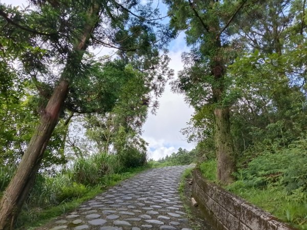 坪林區司公髻尾山+虎寮潭吊橋+粗石斛吊橋+大舌湖步道+漁光派出所2794277