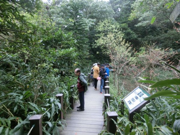 富陽生態公園．福州山106612