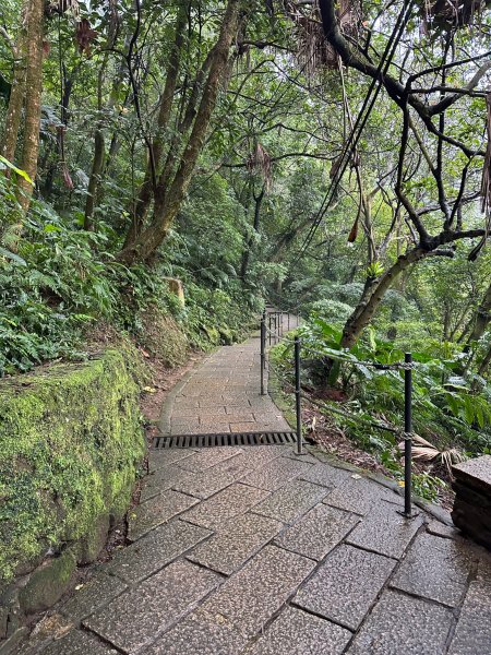 細雨中遠眺101登南港山2043827