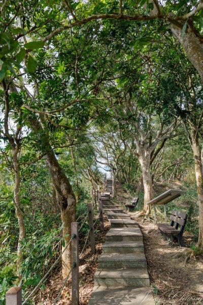 [台中]聚興山2703790