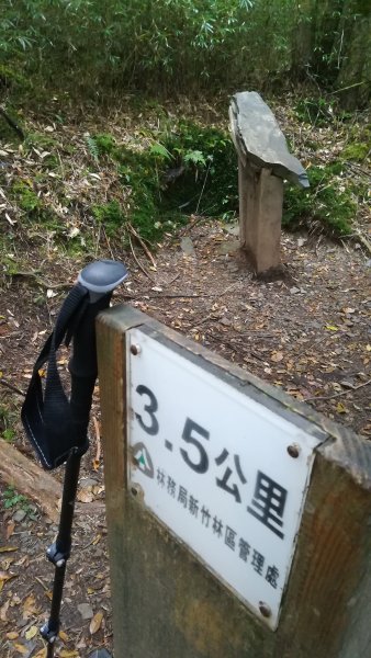 20181104觀霧巨木步道大鹿林道雲海504150