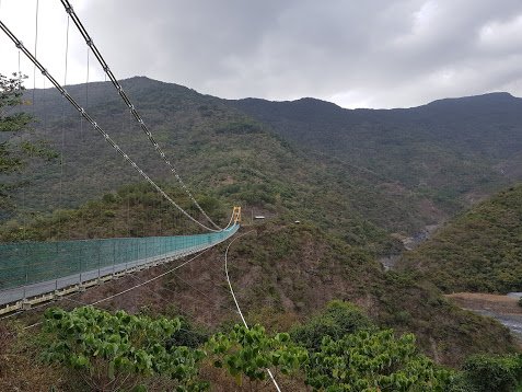 龍頭山步道1018639