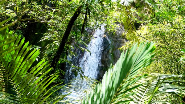 畝畝山。又上說2768129