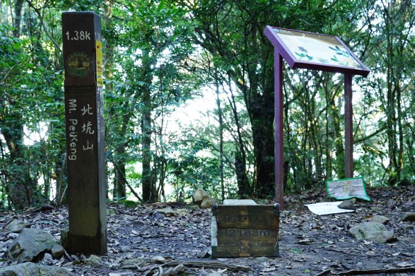 苗栗 泰安 東洗水山、北坑山、大板根2613357