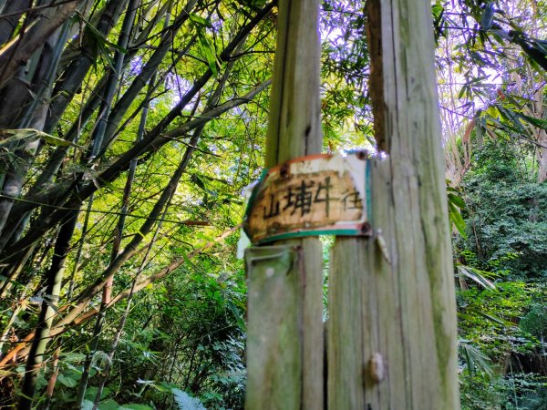 ［雙牛縱走］（牛埔山+牛灶坑山）（連走6山）（2023/11/19）2358600