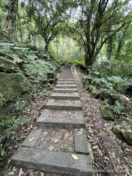 【新竹縣】親民又原始的馬胎古道＋南坪古道2991174