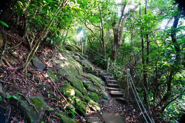新北 土城 天上山、五城山、文筆山、五尖山、牛埔頭山、大尖山、二尖山、內冷水坑山、石門山、南天母山3134908