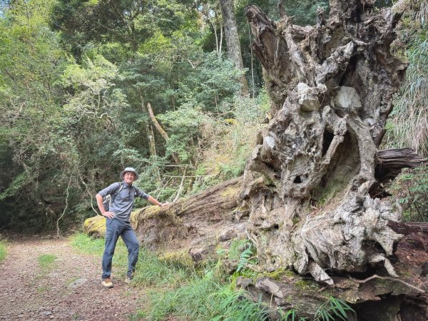 船型山林道賞雲海、烏石坑山、2432峰 山景海景一次到位2929291