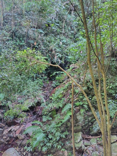 唐麻丹山 蝴蝶谷2918975