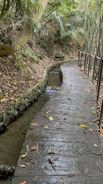 紗帽山半嶺水圳步道2650054