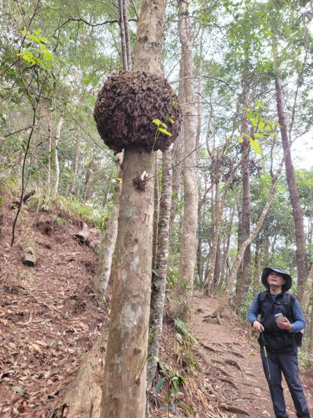 2026-0201-東卯山3013017