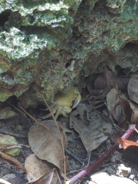 2024.06.09－墾丁國家公園2523879