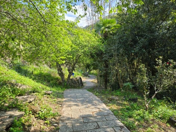 草嶺蓬萊瀑布2717794