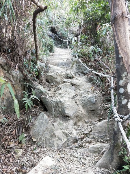 步道巡訪員│白毛山步道1月巡訪日誌812598