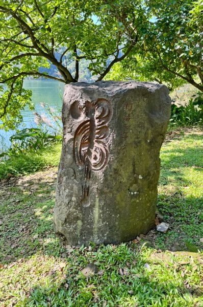 生態環境豐富的仁山植物園 感受鑑湖秋月-梅花湖的魅力2953884