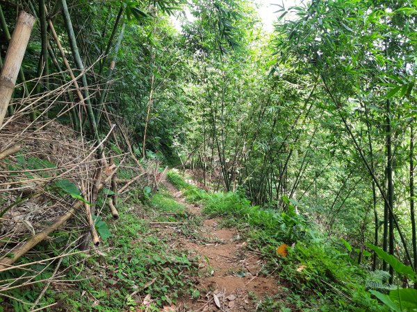 圓通寺烘爐地登山步道1425388