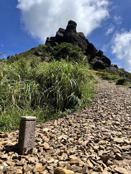 20240905無耳茶壺山2755937