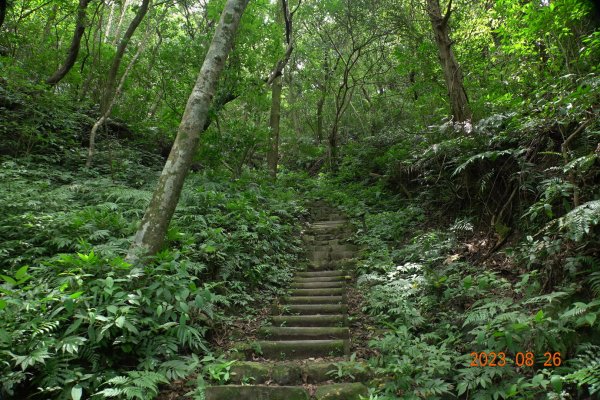 基隆 頂寮山、龍門山、五分山、頂子寮山2265979