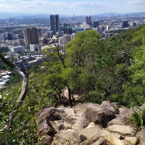 金面山親山步道768294