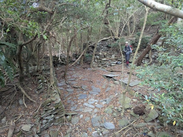 白鷺部落至大武藏山與舊古樓社2782343