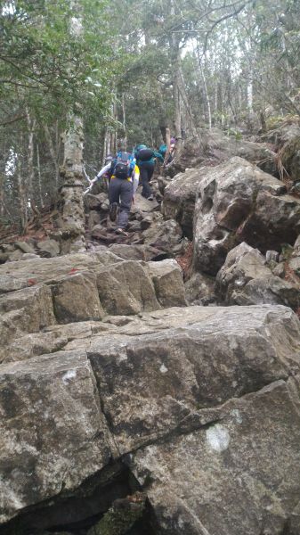 鳶嘴山、稍來山縱走107232