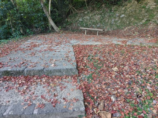 新北市-土庫岳3112161