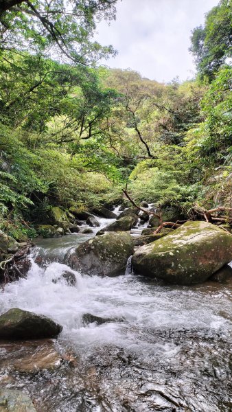 20251115_草嶺古道追芒趣2942939