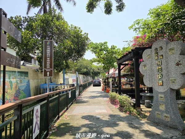 【台中外埔】外埔水流東桐花步道3046225